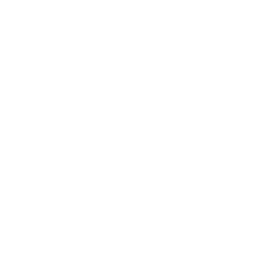 web+spider
